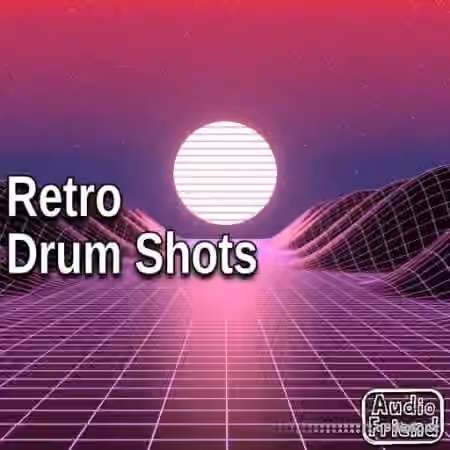 AudioFriend Retro Drum Shots [WAV]