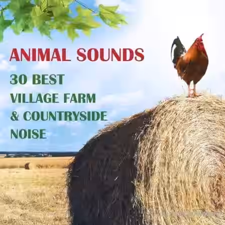 Background Music Records Animal Sounds 30 Best Village Farm and Countryside Noise from Europe [FLAC]