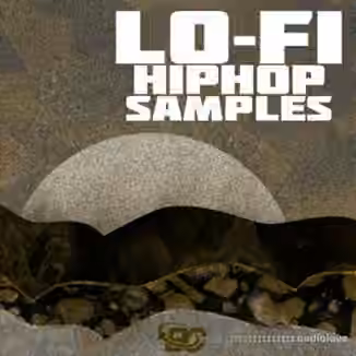 Big Citi Loops Lo-Fi Hip Hop Samples [WAV]