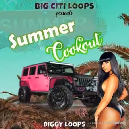 Big Citi Loops Summer Cookout [WAV]