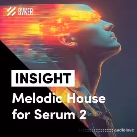 BVKER Insight Melodic House for Serum 2 [Synth Presets]
