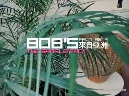 DELAY 808's from Asia The Sample Pack [WAV]