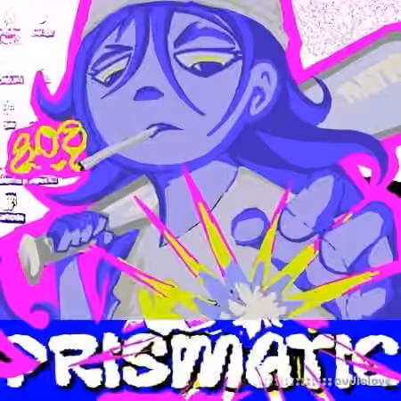 Drayki Prismatic 808 Library [WAV]