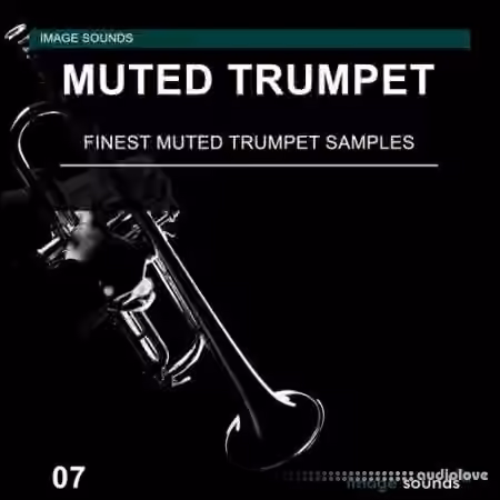 Image Sounds Muted Trumpet 07 [WAV]