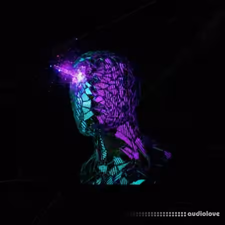 Key Jungle Slow Motion Modern RnB Samples [WAV, MiDi] - Sample Pack Artwork