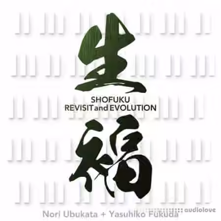 Korg Revisit and Evolution [Synth Presets]