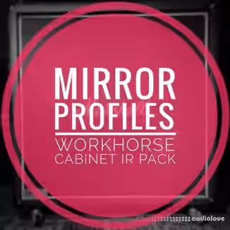 MirrorProfiles WORKHORSE CABINET IR PACK
