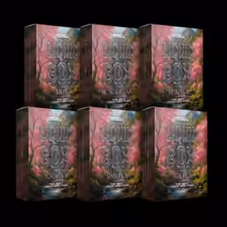 Noise Masters Liquid Box Drum and Bass Pack [MULTiFORMAT]