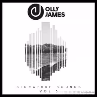 Olly James Signature Sounds Vol.3 [WAV, Synth Presets]