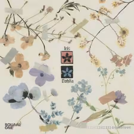 Oscar Zulu Square One Music Library Dahlia and Iris Multi-Kit [WAV]