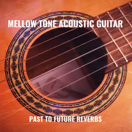 PastToFutureReverbs Mellow Tone Acoustic Guitar For Kontakt! [KONTAKT]