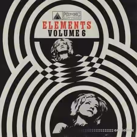Polyphonic Music Library The Polyphonic Elements Vol.6 [WAV]