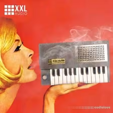 Prime Loops BEAT GOODIES: Lo-Fi Boom Bap [WAV]