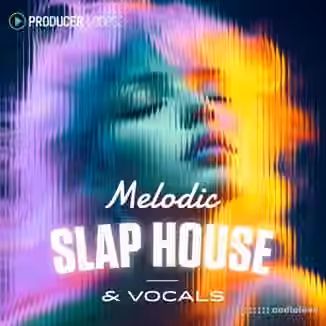 Producer Loops Melodic Slap House and Vocals [MULTiFORMAT]