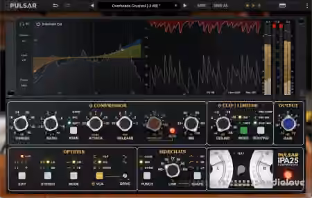 Pulsar Audio IPA 25 v1.0.9 ARM [MacOSX] - Sample Pack Artwork