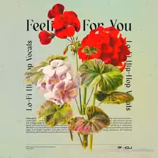 Renraku Feelings For You - Lofi Vocals [WAV]