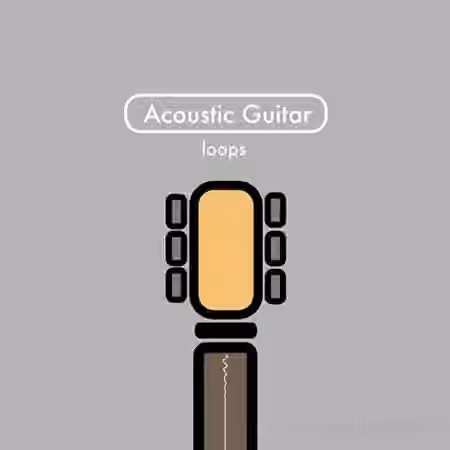 Samplified All Acoustic Guitar Chords and Loops [WAV]