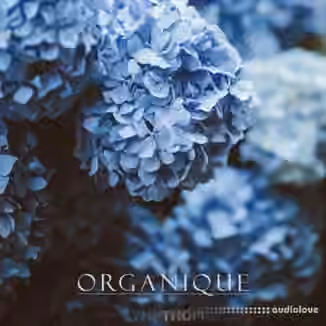 Sympthom ORGANIQUE [WAV, MiDi, Synth Presets]