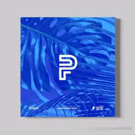 The Big Blazee Tropic (Omnisphere Bank) [Synth Presets]