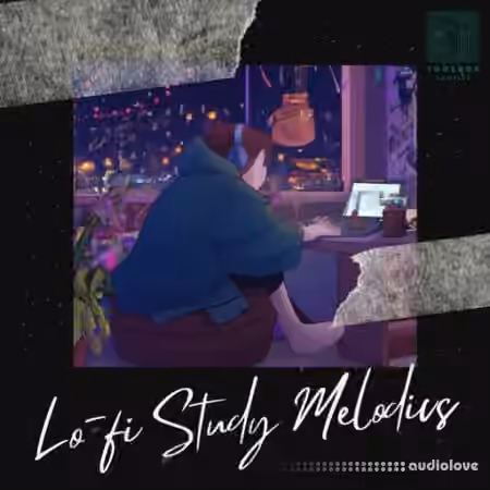 Toolbox Samples Lo-Fi Study Melodics [WAV]