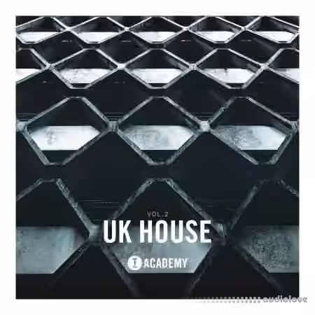 Toolroom UK House Vol.2 [WAV]