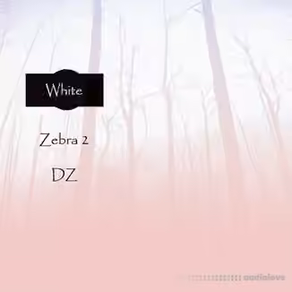 Triple Spiral Audio White DZ Soundset for Zebra 2 [Synth Presets]