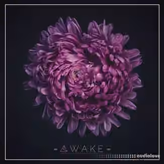 Unmute Awake [WAV, MiDi, Synth Presets]