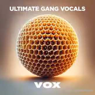 VOX Ultimate Gang Vocals [WAV]